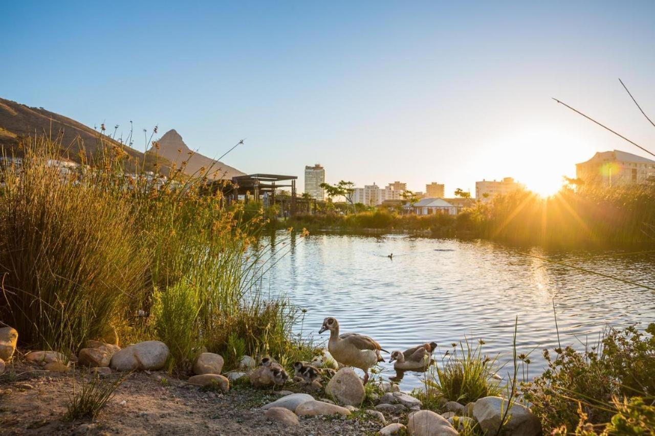 Luxury Apartment, Near V&A Waterfront And Cpt Stadium Cape Town Eksteriør bilde
